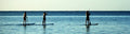Stand up Paddle (SUP)