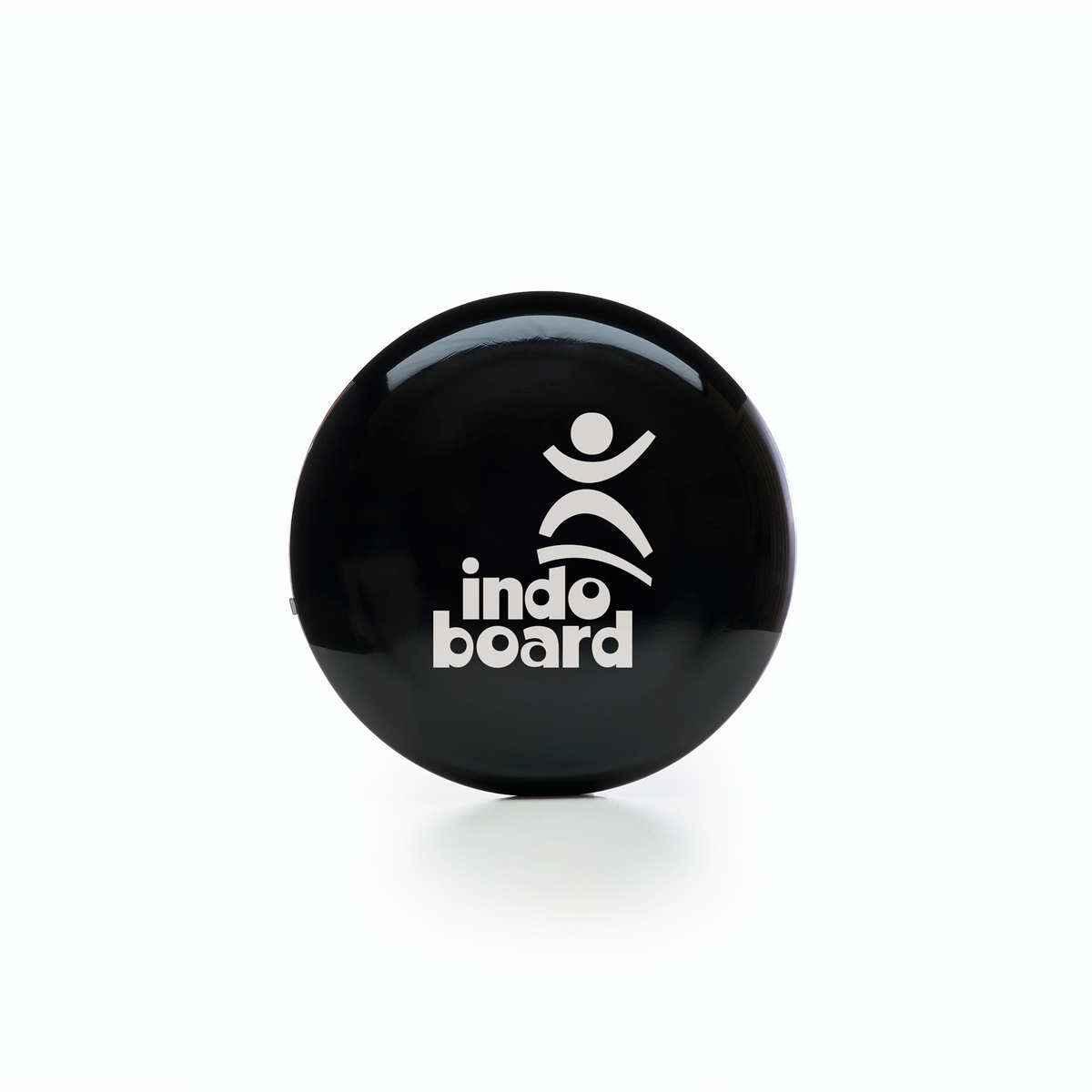 スポーツ indo board Indo_Board_Batch_2_2100__22.